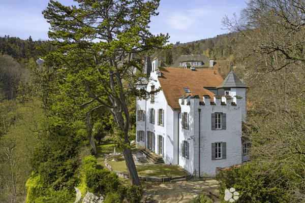Einmalige Gelegenheit: Das einzige Stadtschlösschen über den Dächern von Biel BE 1