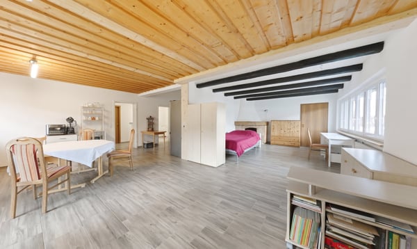 Bieterverfahren: Wohn- & Geschäftshaus in Feldberg mit Neubau, Gewerbe 8