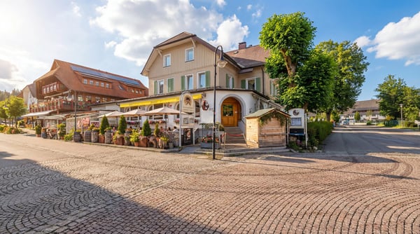 Wohn- und Geschäftshaus am Titisee  Café & Restaurant Seeblick plus z 6