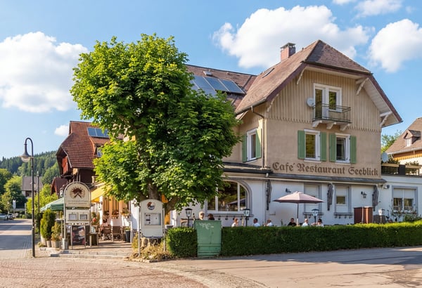 Wohn- und Geschäftshaus am Titisee  Café & Restaurant Seeblick plus z 1