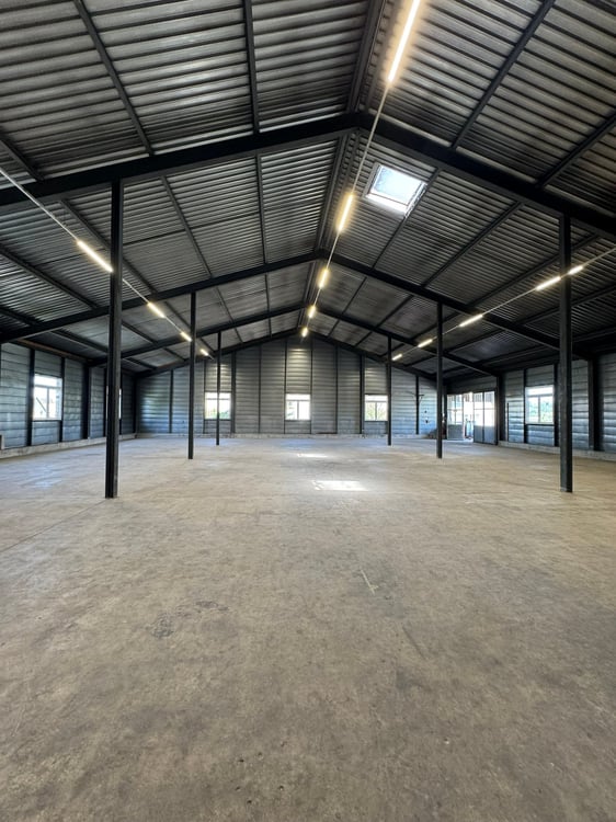 Befahrbare Gewerbehalle (765 m2) mit gedeckter Aussenfläche und vielen Parkplätzen 3