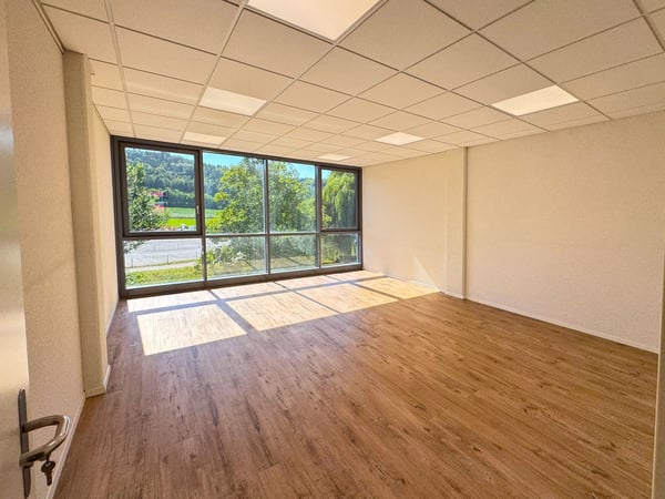 Helle Büro-/Gewerberäumlichkeiten an bester Lage in Urdorf 4