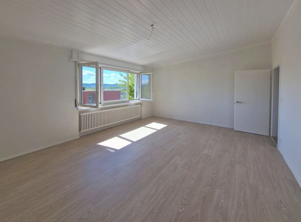Grosszügiges 6-Zimmer-Einfamilienhaus mit viel Privatsphäre und Weitsicht in Biberstein 9