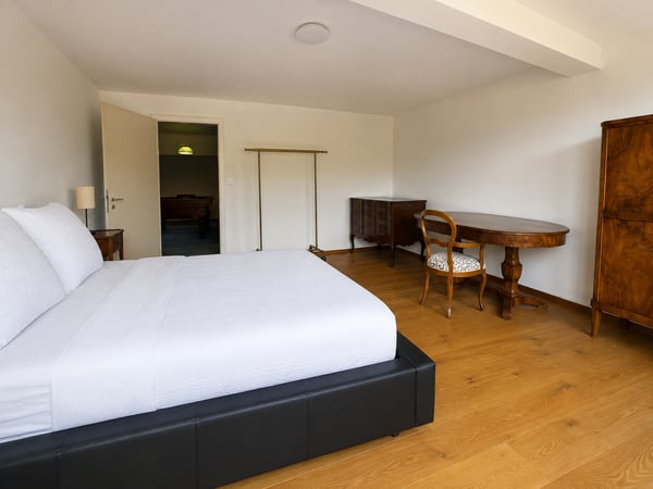 Einzigartige 14-Zimmer-Villa zur möblierten Miete in Metzerlen-Mariastein 14