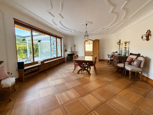 Einzigartige 14-Zimmer-Villa zur möblierten Miete in Metzerlen-Mariastein 7