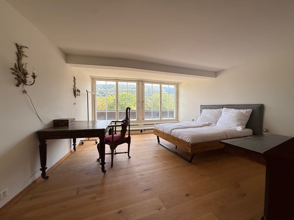 Einzigartige 14-Zimmer-Villa zur möblierten Miete in Metzerlen-Mariastein 17