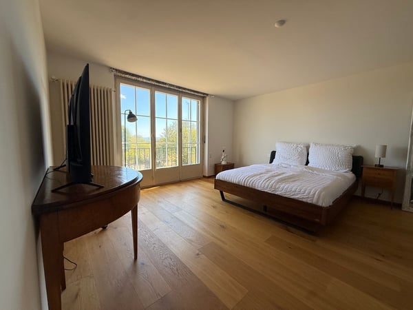 Einzigartige 14-Zimmer-Villa zur möblierten Miete in Metzerlen-Mariastein 19