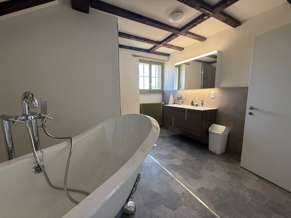 Einzigartige 14-Zimmer-Villa zur möblierten Miete in Metzerlen-Mariastein 24