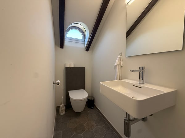 Einzigartige 14-Zimmer-Villa zur möblierten Miete in Metzerlen-Mariastein 21