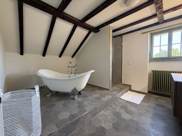 Einzigartige 14-Zimmer-Villa zur möblierten Miete in Metzerlen-Mariastein 22