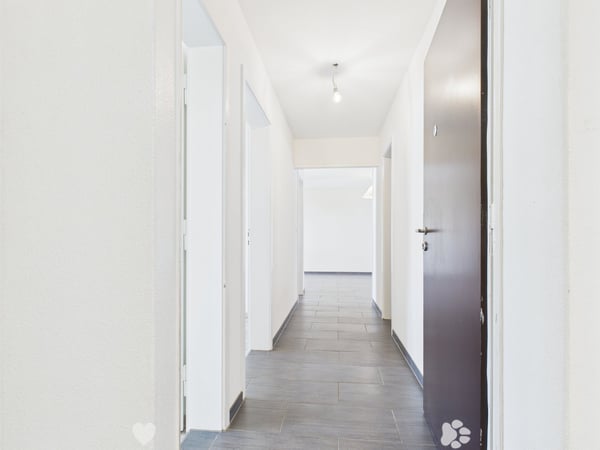 Appartement 3 pièces rénové avec vue panoramique à Biel 4