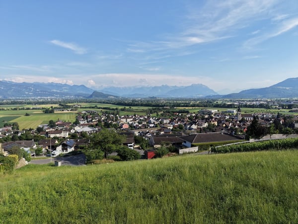 Baulandparzelle am Südhang mit Weitsicht über das Rheintal 5
