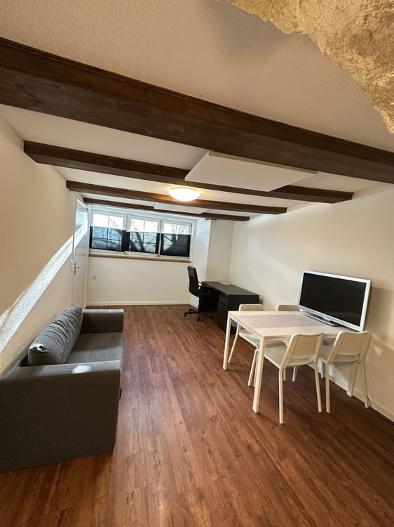 Charmante möblierte 1-Zimmer-Wohnung in St. Gallen 3