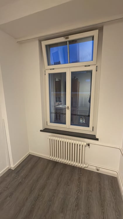 Charmantes Studio-WG im Herzen von St. Gallen 4