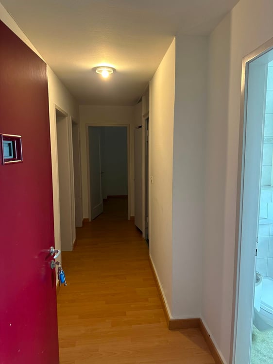 Charmante 3-Zimmer-Wohnung in ruhiger Lage von Rorschacherberg 2