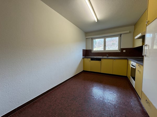 Viel Licht, viel Ruhe, viel Lebensqualität! 3