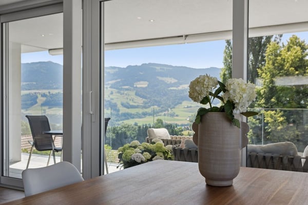 Villa en terrasse avec magnifique vue sur le Lac et les Préalpes 5