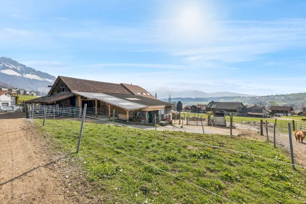 Terrain à bâtir de 2'198m2 avec ferme rénovée 4