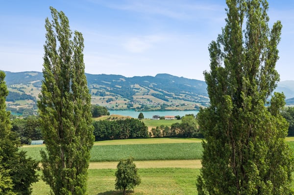 4.5 pièces avec jardin privatif et vue imprenable sur le Moléson 3