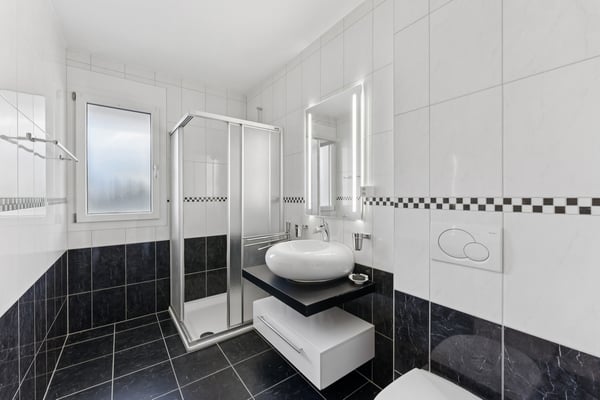 Appartement atypique avec vue sur le Moléson et les Préalpes 6