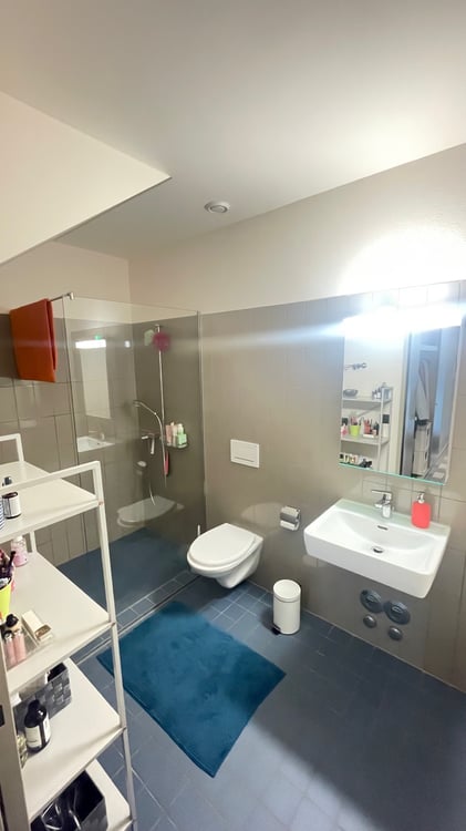 Wohnen direkt im Rietpark 6