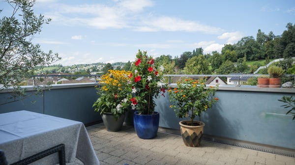 Wunderbare 4.5-Zimmer-Maisonettewohnung in Rapperswil-Jona 7