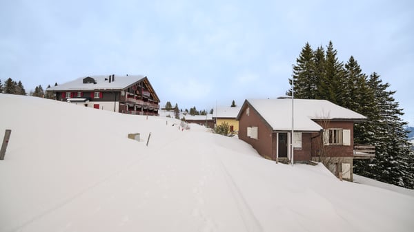 Freistehendes 4-Zimmer-Ferienhaus in Rigi Scheidegg 2