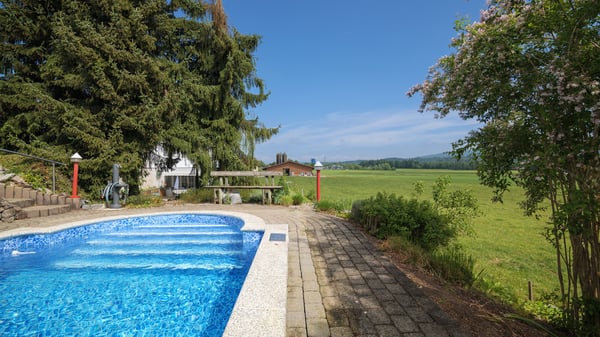 Grosszügiges 4.5-Zimmer-Haus mit Pool in Nesselnbach 3