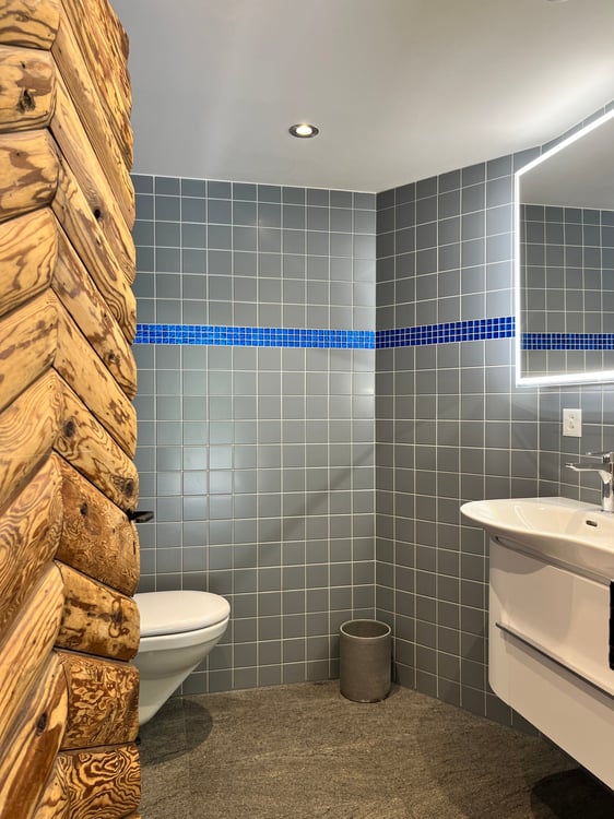 Charmant chalet rénové à Gryon-Villars 15