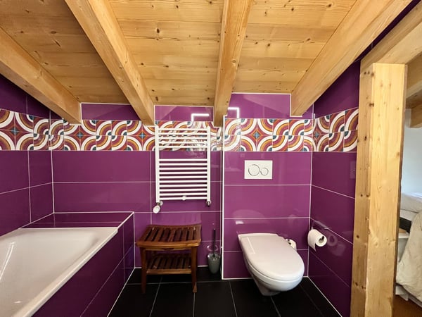 Charmant chalet rénové à Gryon-Villars 12