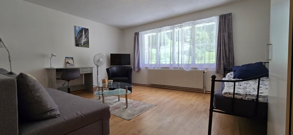 Investieren, wo andere träumen - Ihr AirBnB-Juwel im Berner Oberland 6