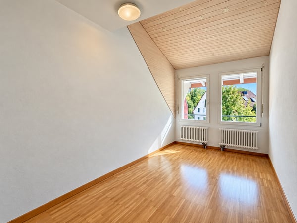 Grosse, naturnahe 5.5 Zimmer Dachmaisonette im Bezirk Winterthur 8
