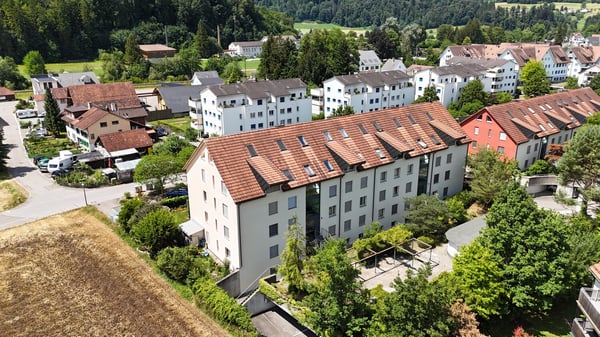 Grosszügige 5.5-Zimmer-Dachmaisonette unter CHF 1 Mio. in naturnaher L 10