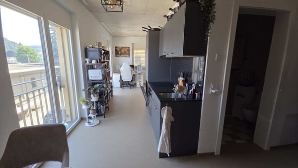 1.5 Zimmer Wohnung 5