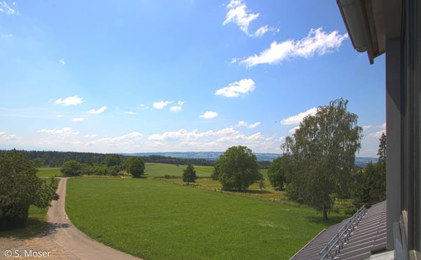 3.0 Zimmer Dachwohnung in naturnaher Lage 10