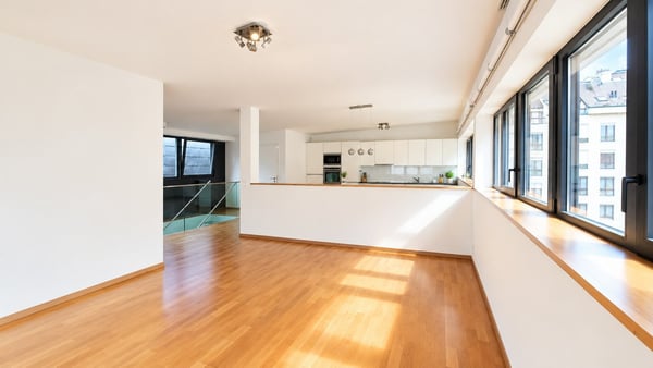 Prestigieux duplex en attique aux Eaux-Vives. 4
