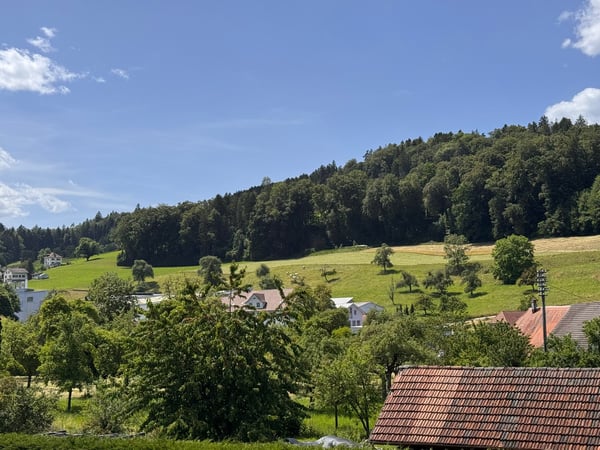 3.5 Zimmer Wohnung, Eigentum mit Charakter 21