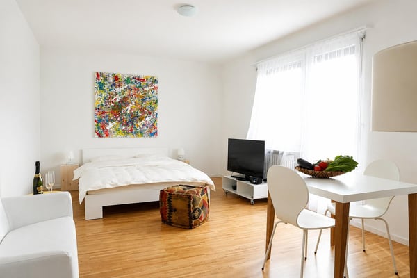 Möblierte 1-Zimmer-Dachwohnung mit Balkon 2