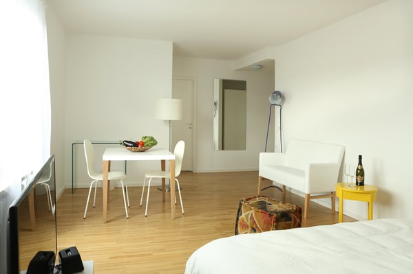 Möblierte 1-Zimmer-Dachwohnung mit Balkon 5
