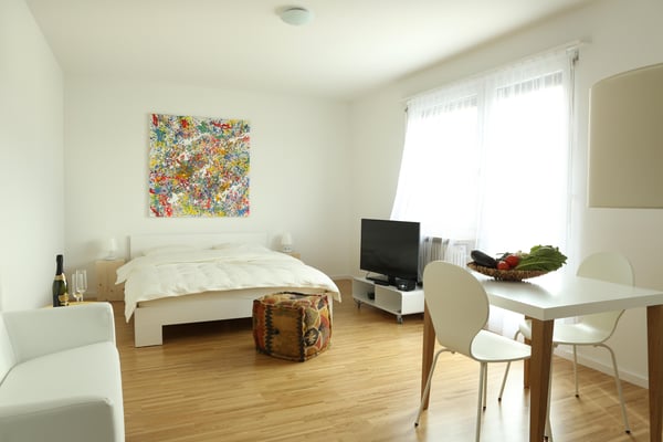 Möblierte 1-Zimmer-Dachwohnung mit Balkon 6