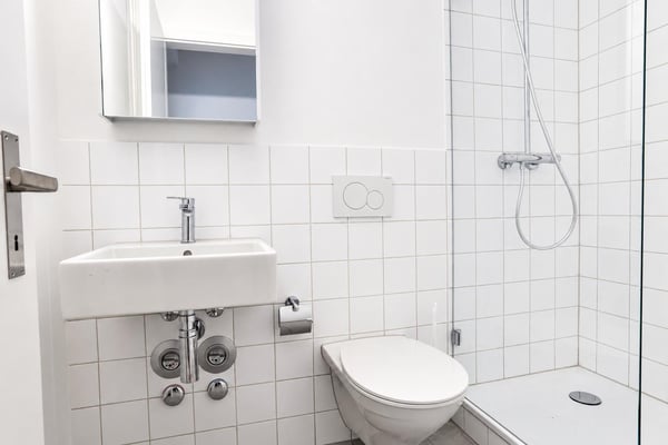 Renovierte 1-Zimmerwohnung nähe Bahnhof SBB 3