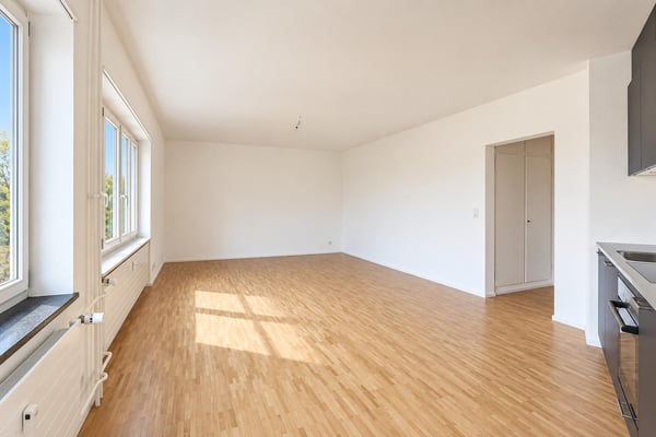 renovierte 2- Zimmerwohnung in Basel nähe Felix Platter Spital 2