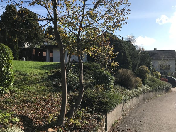 Einfamilienhaus mit schöner Aussicht und grossem Grundstück, Kirchdorf AG (Obersiggenthal) 3