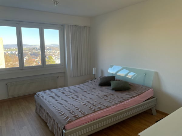 Exklusive Terrassenwohnung mit traumhafter Aussicht über Adliswil 9