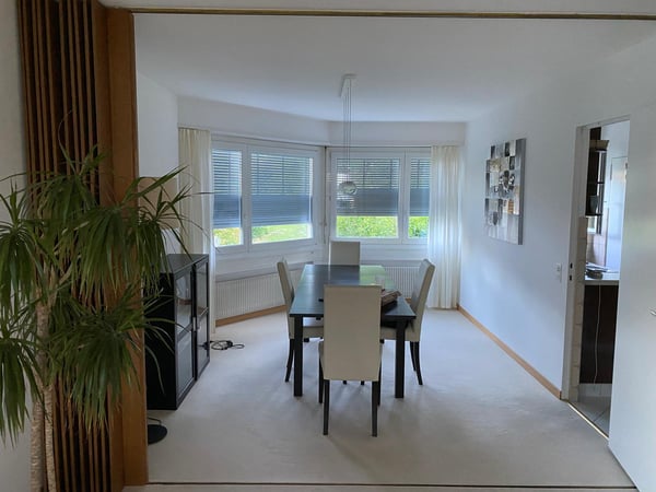 Exklusive Terrassenwohnung mit traumhafter Aussicht über Adliswil 11