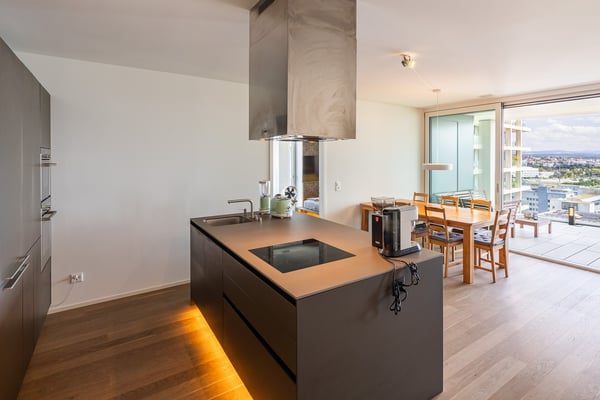 Exklusive 2 Zimmer Wohnung mit Panorama über den Dächern von Zürich 3