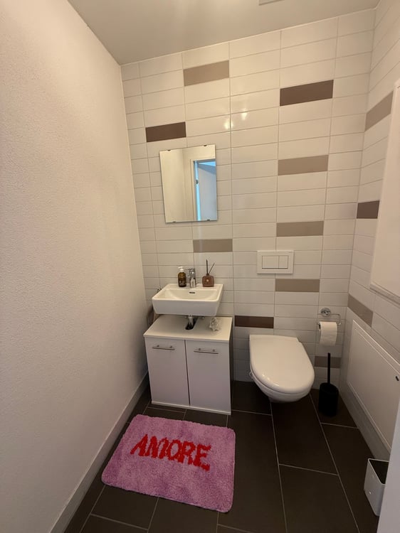 Befristete 3.5 Zimmer Wohnung von Oktober 2026 bis März 2027 10