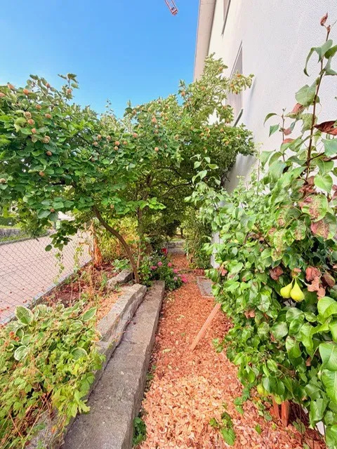 Aussergewöhnlich grosszügiges 7.5-Zimmer mit Südgarten und vielseitigem 2. Obergeschoss 8