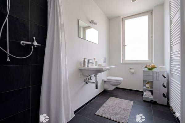 Lichtdurchflutetes Zuhause an der Schüss  4.5 Zimmer mit Charakter 4