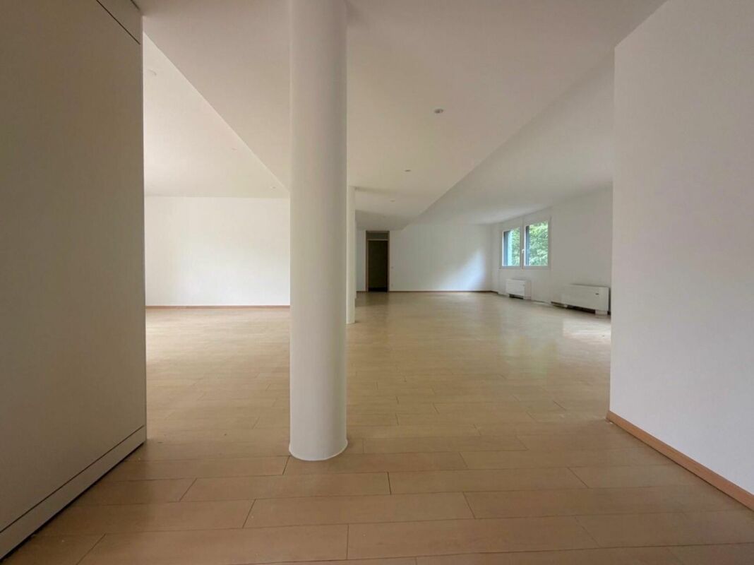 LUGANO · UFFICIO IN ZONA CENTRALISSIMA E DISPONIBILE DA SUBITO · 198 m2